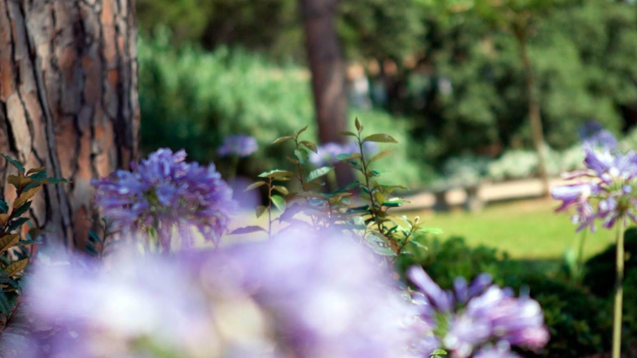 Appartamento Les Pins De L'Escalet Ramatuelle Esterno foto